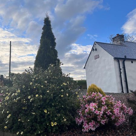 Dans Wee Cottage Slieve Croob Dromara Castlewellan Newcastle Екстер'єр фото