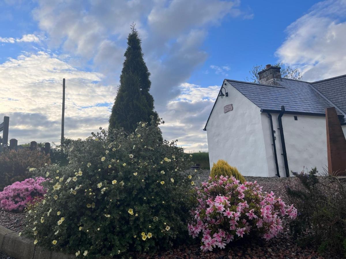 Dans Wee Cottage Slieve Croob Dromara Castlewellan Newcastle Екстер'єр фото