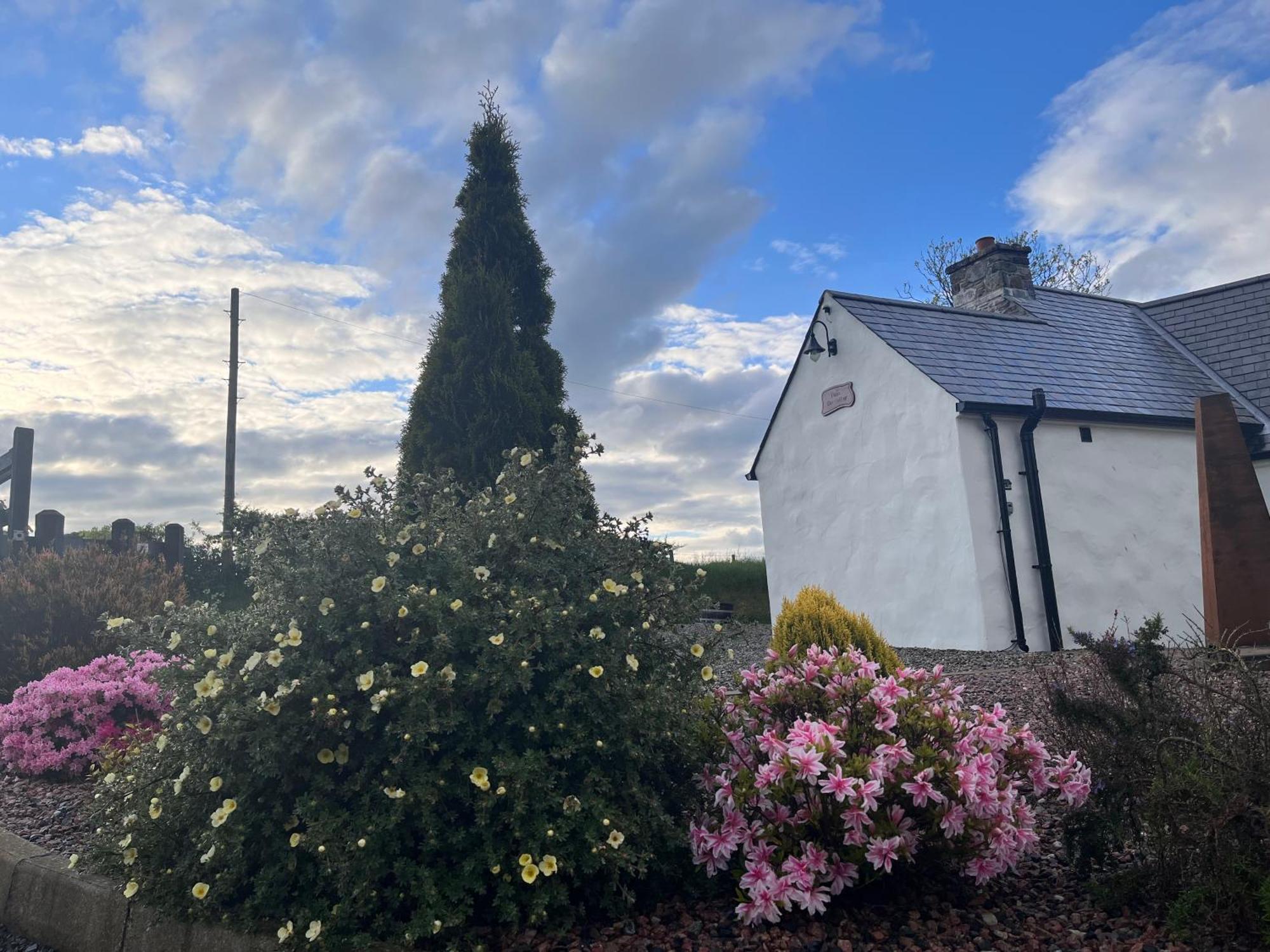Dans Wee Cottage Slieve Croob Dromara Castlewellan Newcastle Екстер'єр фото
